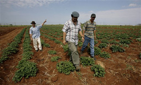 campesino recorrecampos